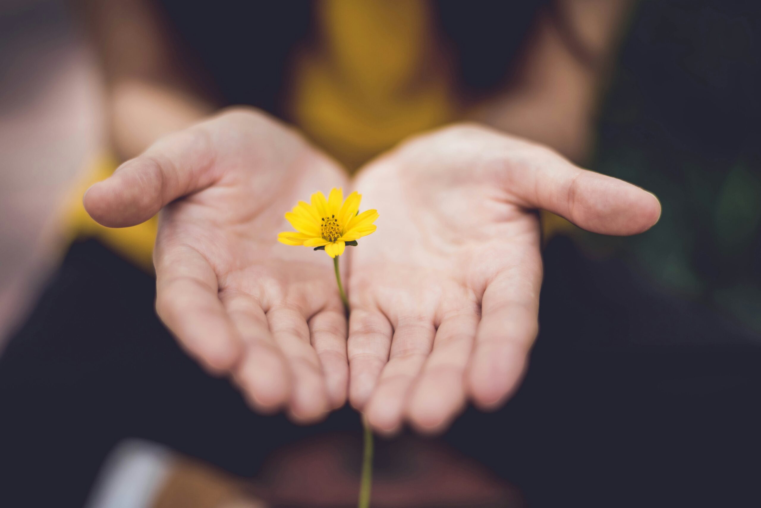 Hands holding a yellow flower outside of brainspotting therapy in Fresno.